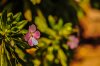 8/DSC_3128 site.jpg